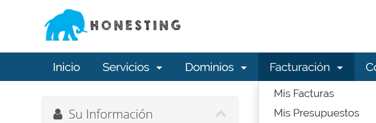 facturas hosting