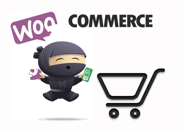 ¿Tienes tienda y no conoces Woocommerce?