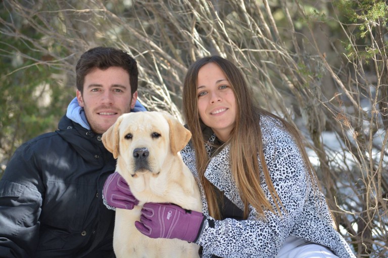 El hogar de los Labradores (retriever)