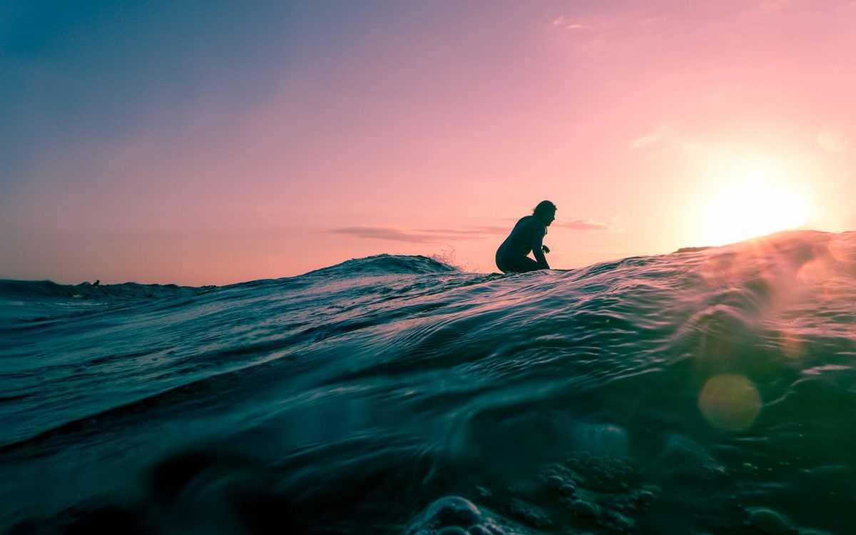 ¿Cómo una escuela de Surf convirtió el gasto de su web en una fuente de ingresos?